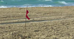 Новый песок на пляже 