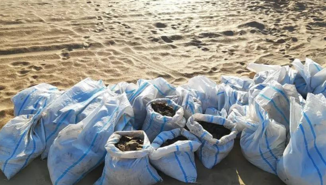 Собранные мешки с мазутом. Скриншот фото "Добровольцы ССЛ" от 14.03.26, https://t.me/setisitolopata/2695 Собранные мешки с мазутом. Скриншот фото "Добровольцы ССЛ" от 14.03.26, https://t.me/setisitolopata/2695