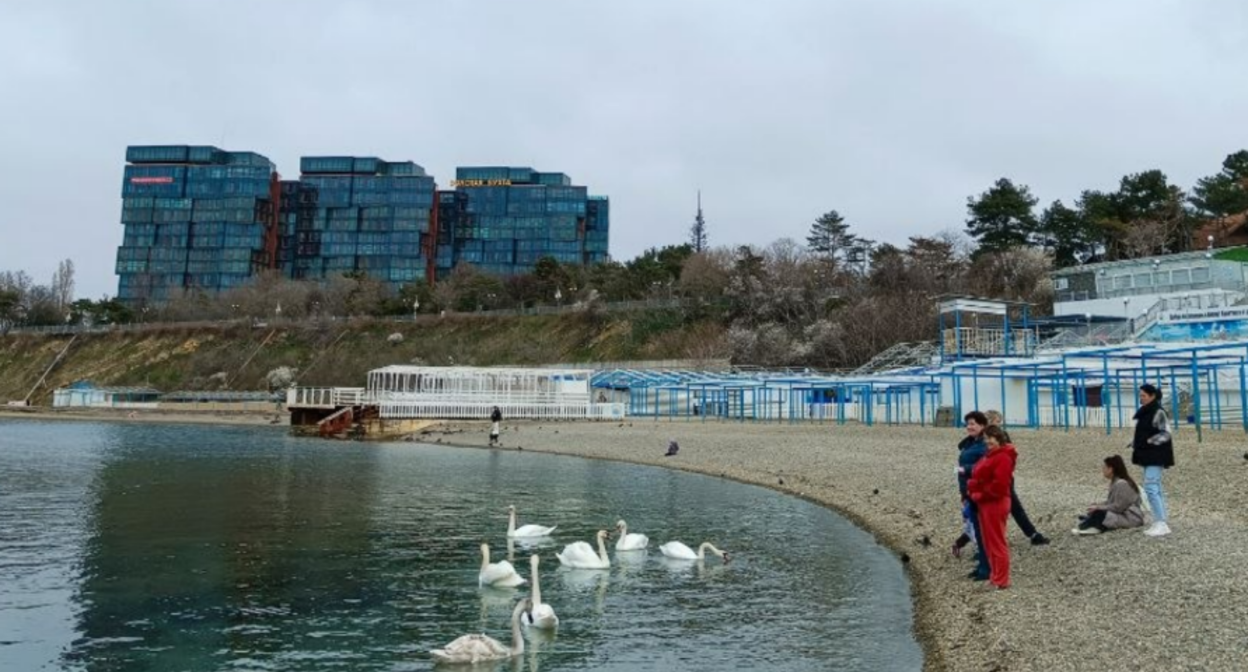 Пляж "Высокий берег". Скриншот фото Юрия Озаровского от 25.03.26, https://t.me/MoreOz/119508?single Пляж "Высокий берег". Скриншот фото Юрия Озаровского от 25.03.26, https://t.me/MoreOz/119508?single