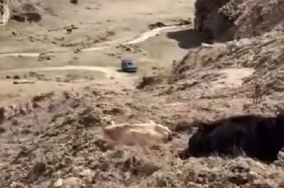 Заваленная дорога к селу Гуйми. Стоп-кадр видео https://www.instagram.com/p/DW_alk2DH5d/ (деятельность компании Meta, владеющей соцсетью, запрещена в России). Заваленная дорога к селу Гуйми. Стоп-кадр видео https://www.instagram.com/p/DW_alk2DH5d/ (деятельность компании Meta, владеющей соцсетью, запрещена в России).