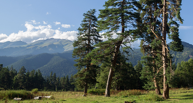 Карачаево-Черкесия. Фото: Вячеслав Аргенберг https://ru.wikipedia.org/