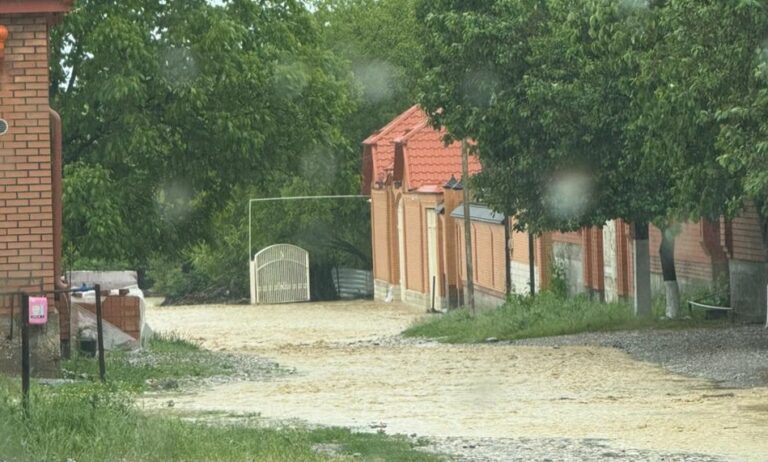 Подтопление в Шалинском районе Чечни. Фото: https://gtrkvainah.ru/v-shalinskom-rajone-iz-za-v-rezultate-obilnyh-dozhdej-podtopleny-domovladeniya/