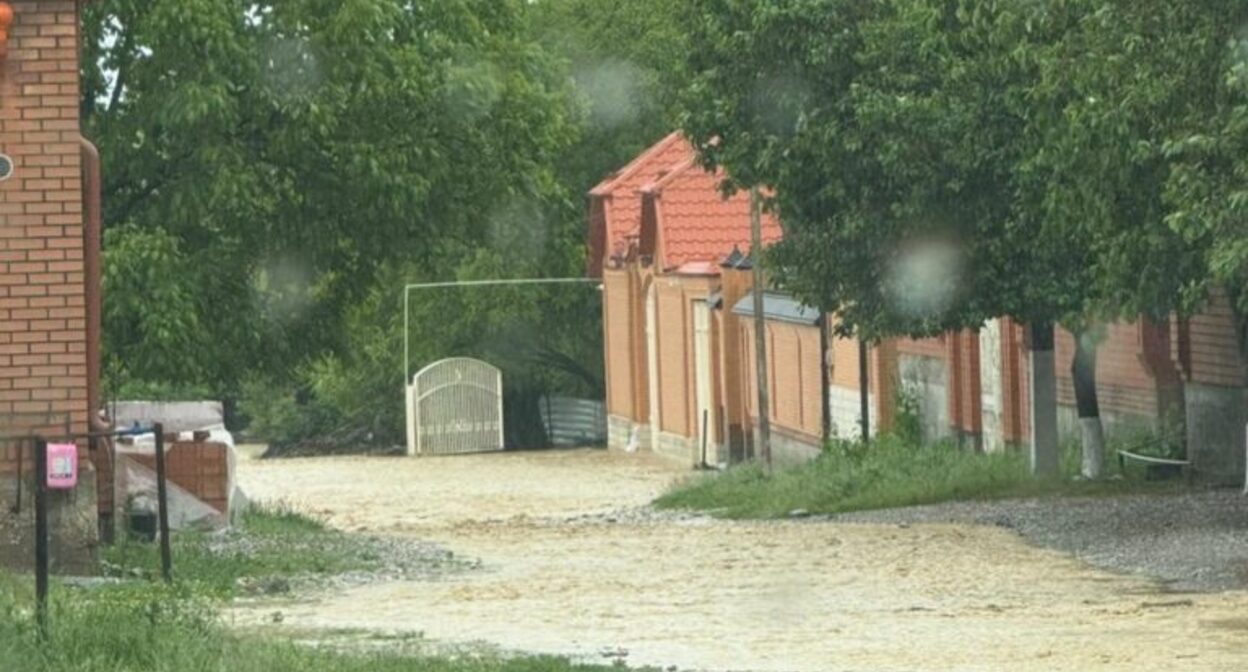 Подтопление в Шалинском районе Чечни. Фото: https://gtrkvainah.ru/v-shalinskom-rajone-iz-za-v-rezultate-obilnyh-dozhdej-podtopleny-domovladeniya/