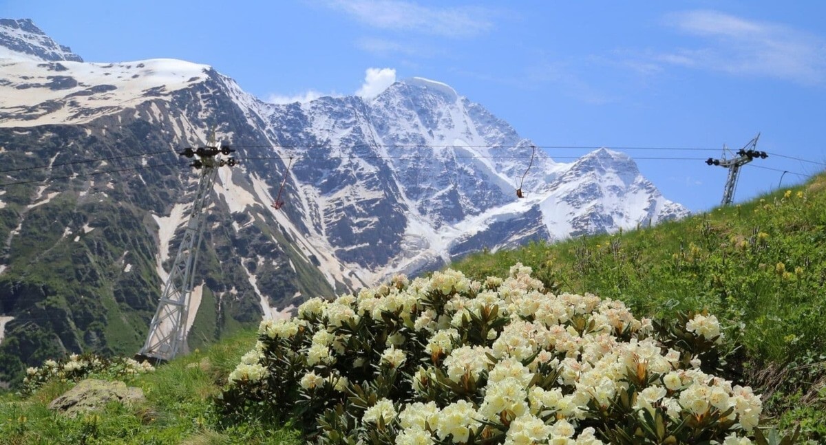 Курорт "Эльбрус". Фото: администрация курорта https://resort-elbrus.ru/news/84/novosti-13 Курорт "Эльбрус". Фото: администрация курорта https://resort-elbrus.ru/news/84/novosti-13