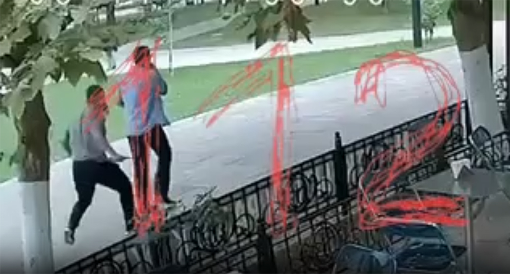 Момент нападения в городском саду Махачкалы. Кадр из видео https://t.me/ENews112/28570