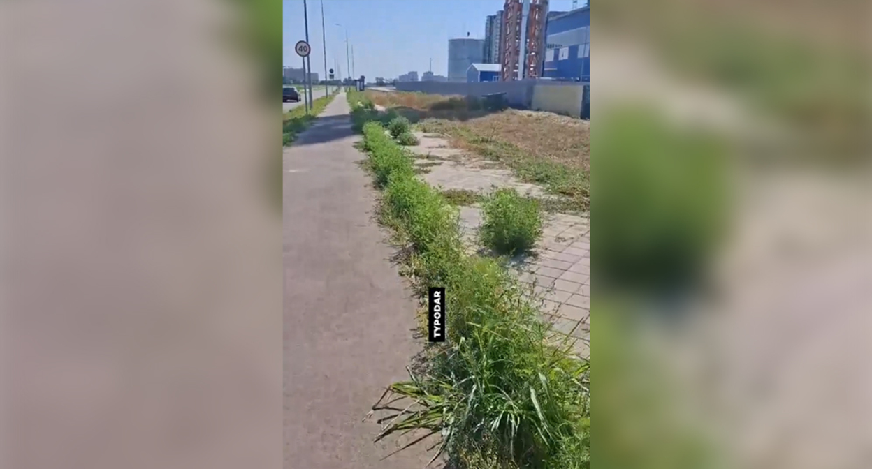 Тротуар в Новознаменском. Кадр из видео https://t.me/typodar/62764 Тротуар в Новознаменском. Кадр из видео https://t.me/typodar/62764