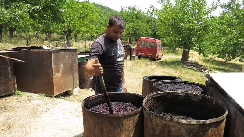 7-1 Алик перемешивает массу бродящейся тутовой ягоды..
