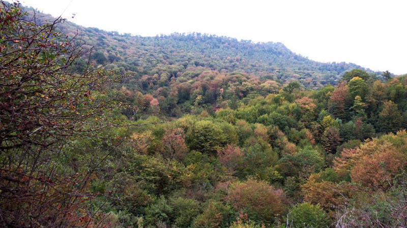 Кроны деревьев постепенно меняют цвет - осень медленно вступает в свои права.