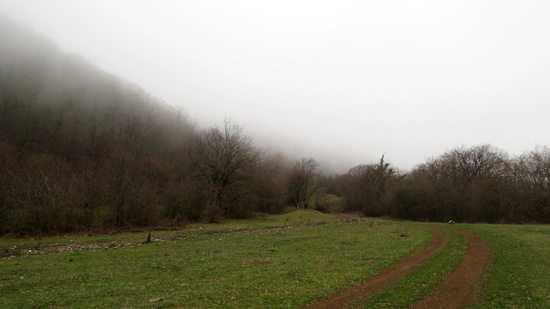 Дорога незаметно начала подниматься в гору, погода начала портиться, туман начал обступать меня... 