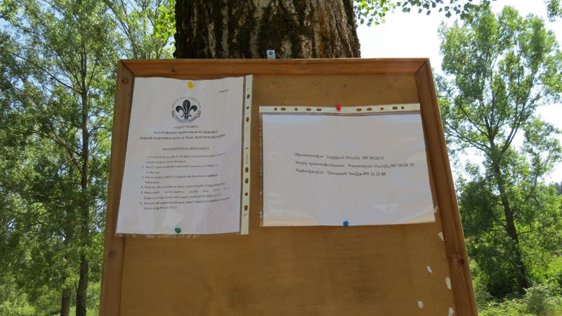 С прошлых лет я помню деревья, где висят доска объявлений, С прошлых лет я помню деревья, где висят доска объявлений,