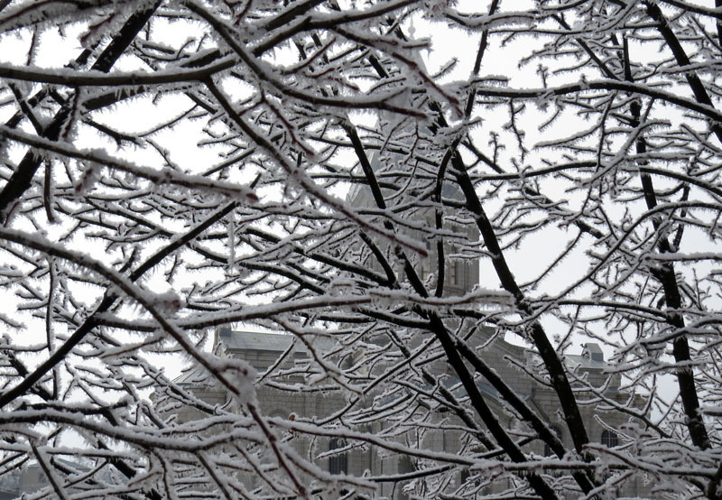 Виртуальная выставка, январь - 7. Виртуальная выставка, январь - 7.