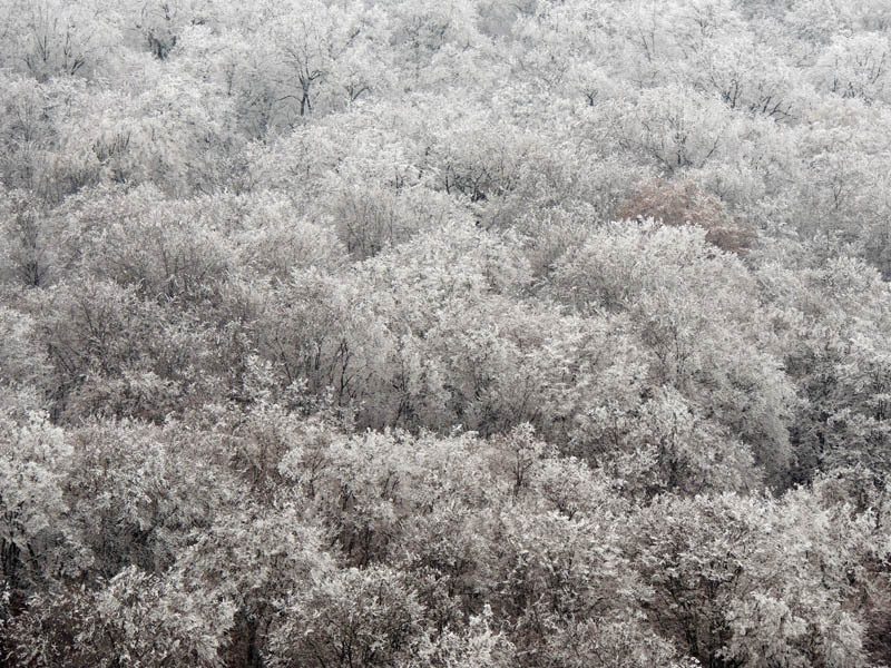 Фотография - Фотография -