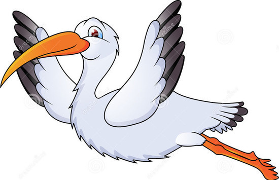 Аист. Взято из интернета. Аист. Взято из интернета.