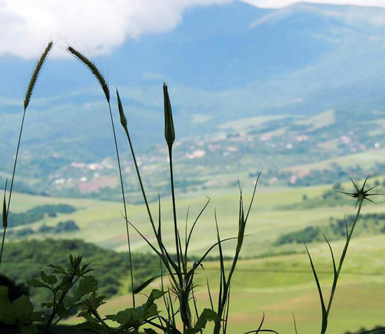 Фотовыставка (июль) - 1. Фотовыставка (июль) - 1.