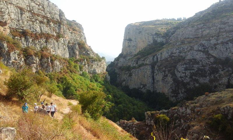 Возвращаемся. Ущелье осталось за нашей спиной.