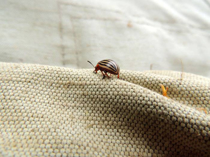 Фотовыставка (август) - 2. Фотовыставка (август) - 2.