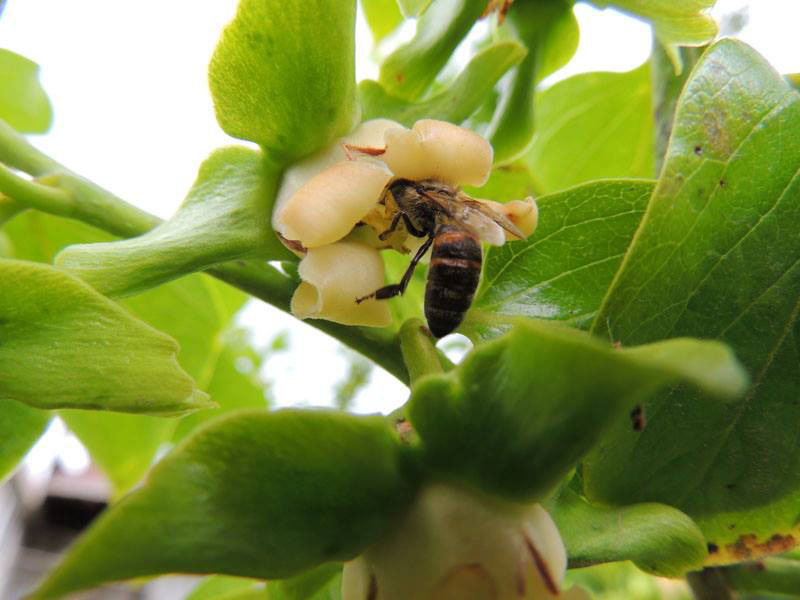 Фотовыставка (август) - 3. Фотовыставка (август) - 3.