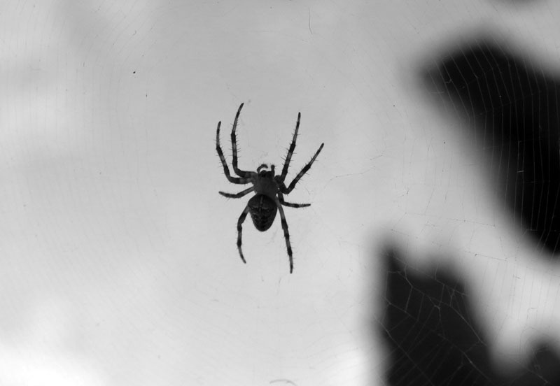 Фотовыставка (август) - 6. Фотовыставка (август) - 6.