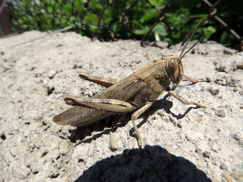 Фотовыставка (август) - 8. Фотовыставка (август) - 8.