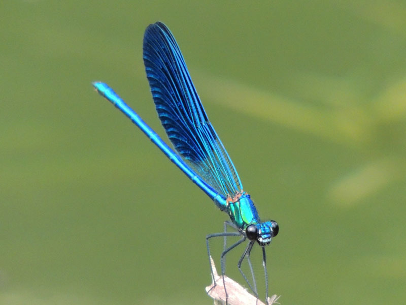 Фотовыставка (август) - 10. Фотовыставка (август) - 10.