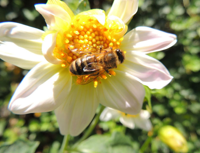 Фотовыставка (август) - 12. Фотовыставка (август) - 12.