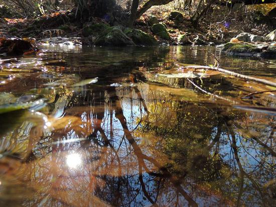 Фотовыставка (сентябрь) - 1. Фотовыставка (сентябрь) - 1.