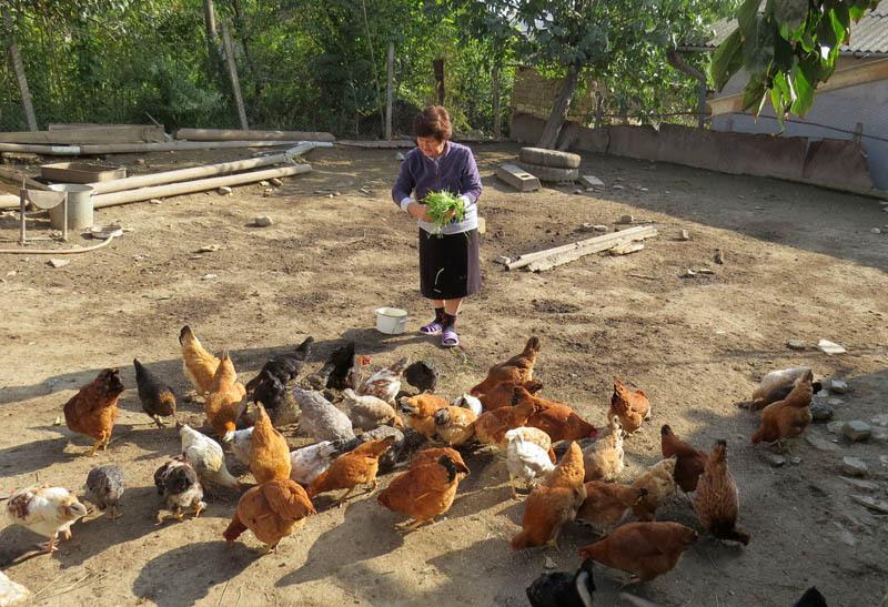 Найдя время, Аида решила накормить птиц.